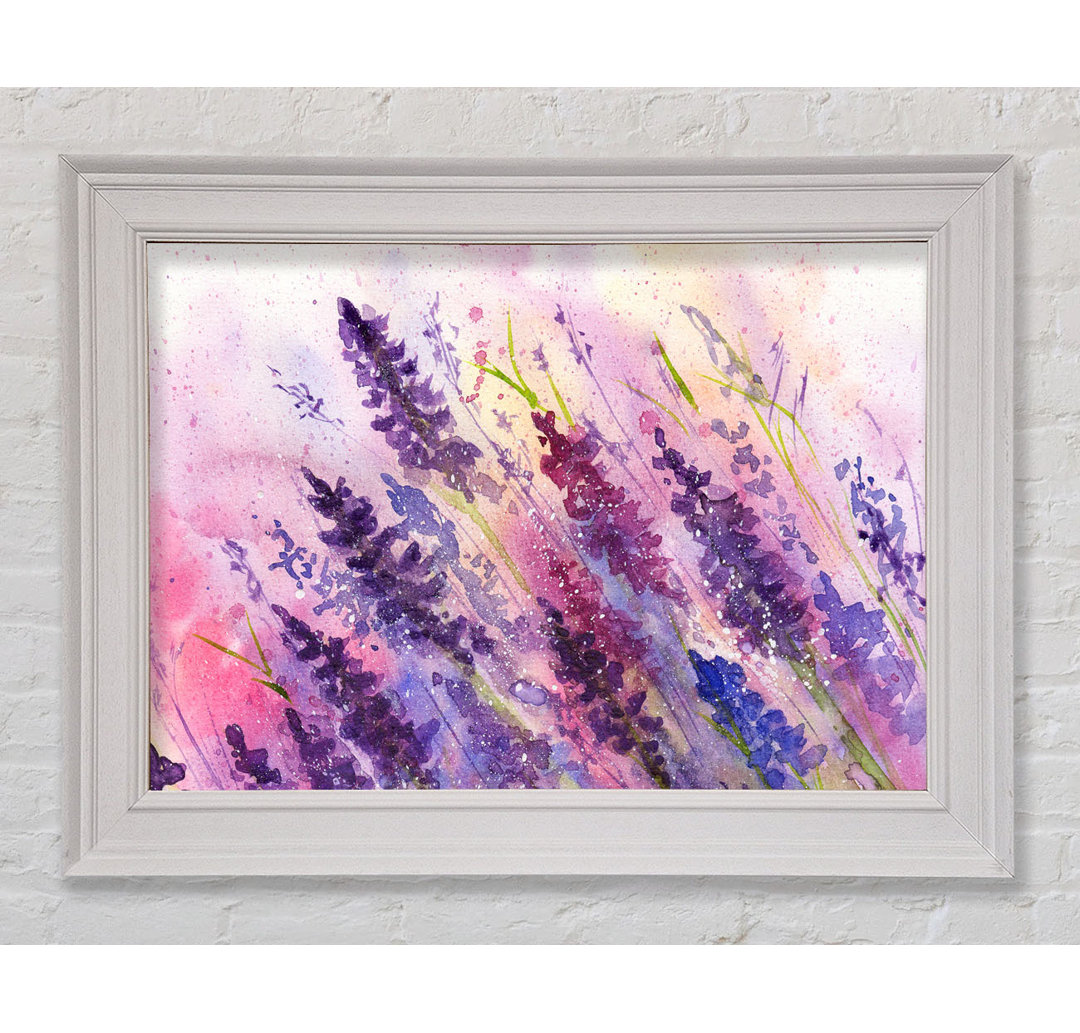 Gerahmtes Leinwandbild Lavender Colour Splash