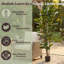 Figuier figuier artificiel 72 po Pure Garden