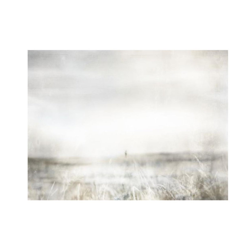 Warm Meadow I Print by Elena Carlie, Glass Coat, 24" H x 32" W x 1.5" D