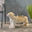 Banc d'extérieur MGO DOG Bench, aucun assemblage requis-125082096