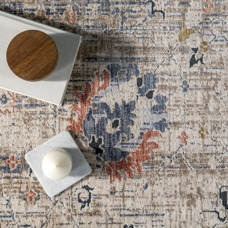 Acelynn Distressed Traditional Area Rug, Rectangle 5' x 8'