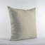 Coussin Plutus-62523896-62523907