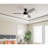 48'' Ceiling Fan with LED Lights