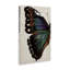Toile traditionnelle à oreilles de papillon par Melissa Wang-1018544419