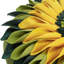  Housse et insert de coussin décoratif en tournesol Appliqued-717990371-717990394