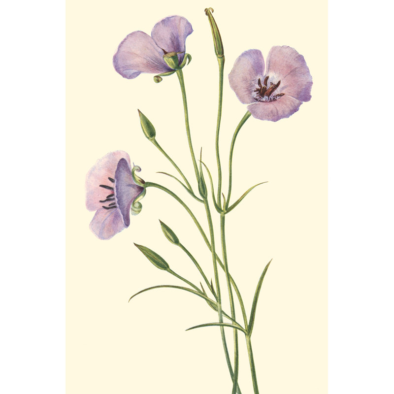 Delicate Wildflowers VI - Painting on Canvas, 91cm H x 61cm W, Wrapped Canvas