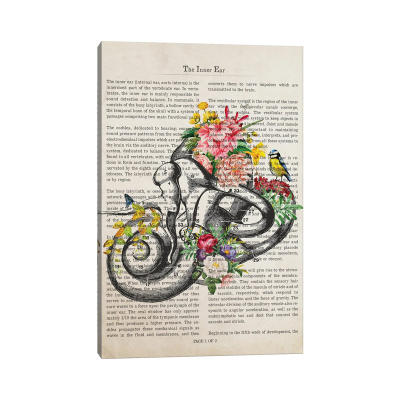 «Inner Ear Anatomy Flower Print» par Aged Pixel - Giclée sur toile tendue avec châssis, H 40 po x l 26 po x P 1,5 po