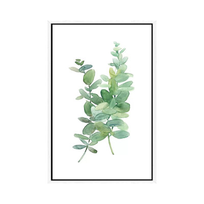 Eucolyptus I by Carol Robinson - Painting on Canvas