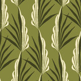 Areca Palm - Wallpaper