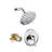 All-In-One Kit with Rough in-Valve-61920673