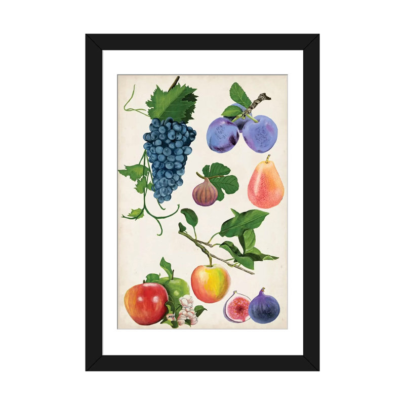 «Fruit Collection II», impression sur toile, Papier d'art encadré noir, H 24 po x l 16 po x P 1 po, Blanc