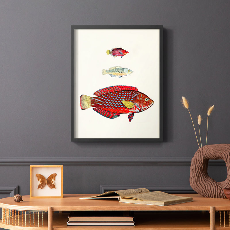 «Colorful Tropical Fish II», reproduction encadrée - bois massif, Cadre simple noir, H 28 po x l 22 po