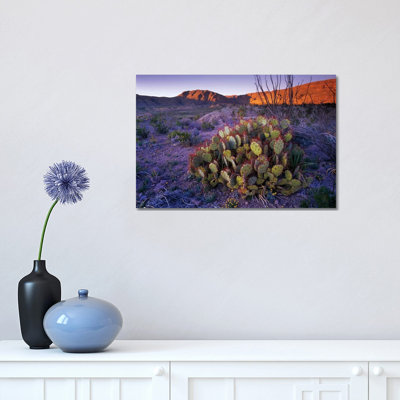 Opuntia in Chihuahuan Desert Landscape, Big Bend National Park, Texas 1 Piece Wrapped Canvas Wall Art