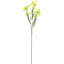 Mixed Arrangement-94257861