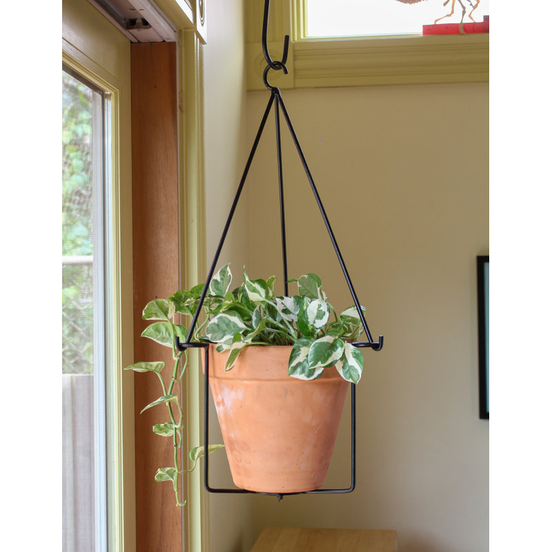 Black Wrought Iron Vera Plant Hanger Set for Indoor/Outdoor Use