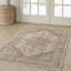 Casmera Oriental Area Rug-996336058