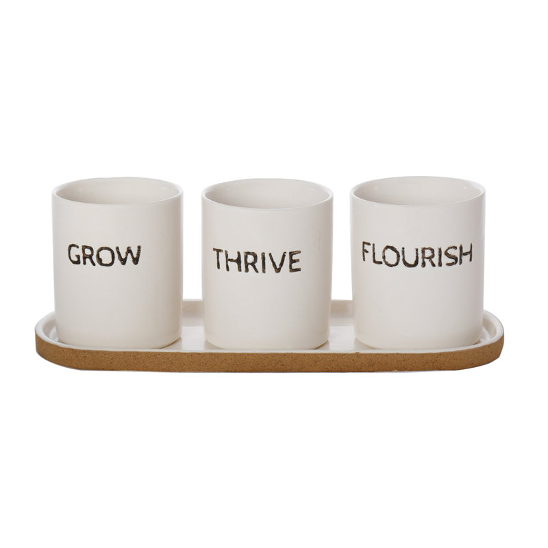 Driscoll Ceramic Pot Planter