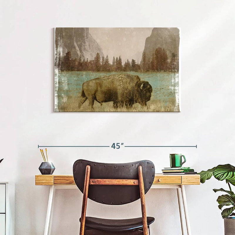 Bison In The Park