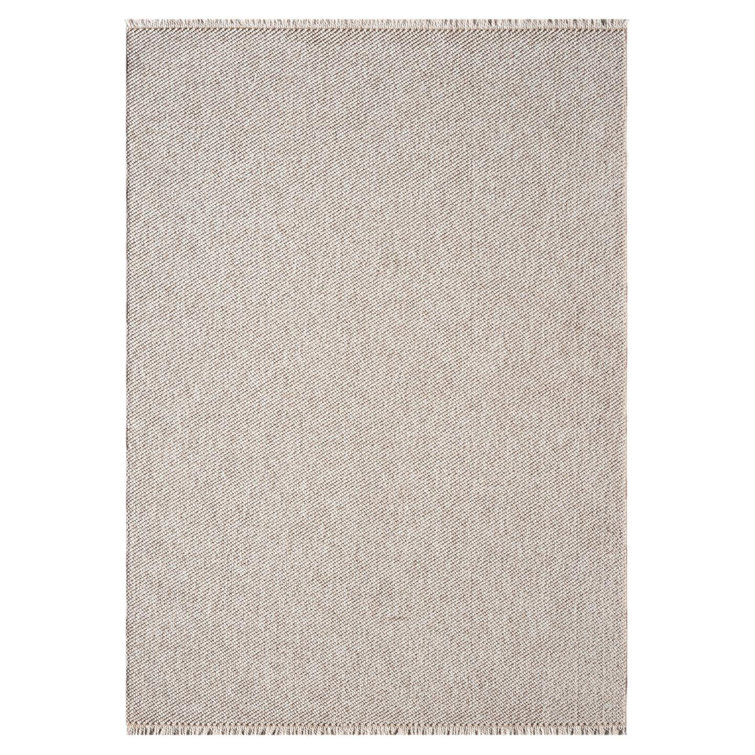 Textured Fringed Area Rug