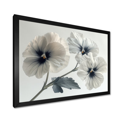 White Black Botanical Beauty Pansies I - Pansies Wall Decor