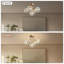 5-light Modern Ceiling Lamp Flush Mount Ceiling Light For Bedroom, Bathroom And Dining Room