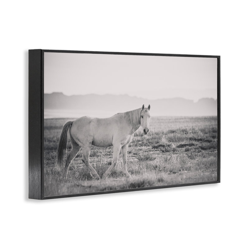 Giclée encadrée «Quiet Atmosphere with Horse» par Nathan Larson, H 16 po x l 24 po, Giclée encadrée noir minuit