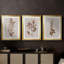 Monochromes botaniques I - Toile tendue avec châssis sur mesure - 3 pièces-284870257-284870262