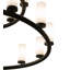 French 17 - Light Chandelier
