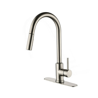 Kitchen Faucet With Pull Down Sprayer