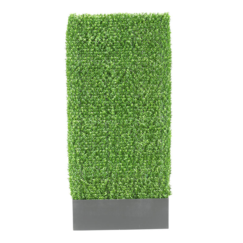 Faux Boxwood Hedge in HDPE Plastic Planter
