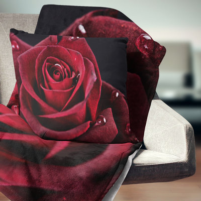 Red Rose with Raindrops on Black - Floral Printed Pillow