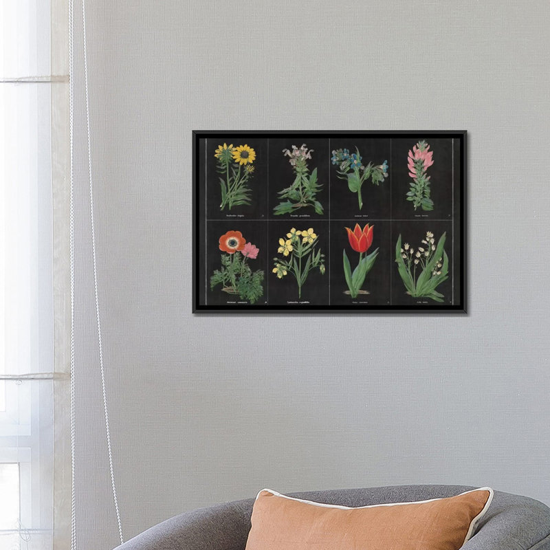 «Botanical Chart I», impression sur toile tendue, Toile avec cadre noir, Pas de tapis, H 18 po x l 26 po x P 1,5 po