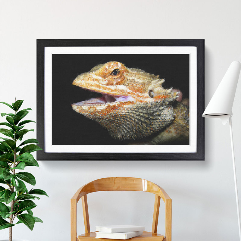 Bearded Dragon Lizard - Picture Frame Photograph, Black Framed, 27cm H x 36cm W x 2cm D