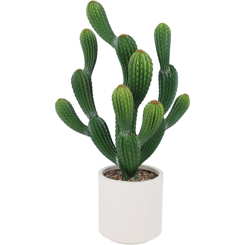 Arrangement