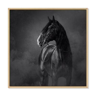 Portrait d'un cheval andalou noir - reproduction d'art sur toile traditionnelle
