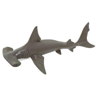 Bébé requin marteau