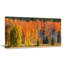 «Fall Trees Panorama», reproduction de photo sur toile tendue-20879711
