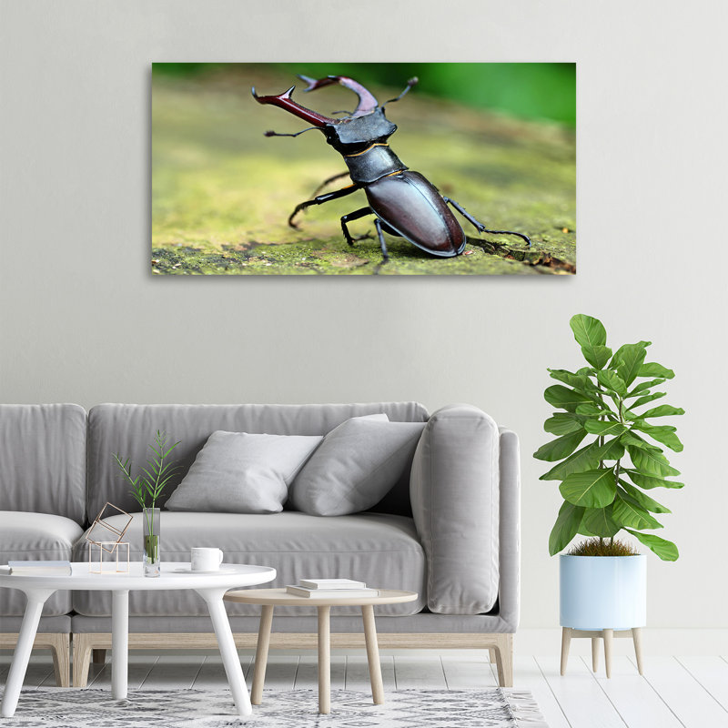 Beetle - No Frame Print on Canvas