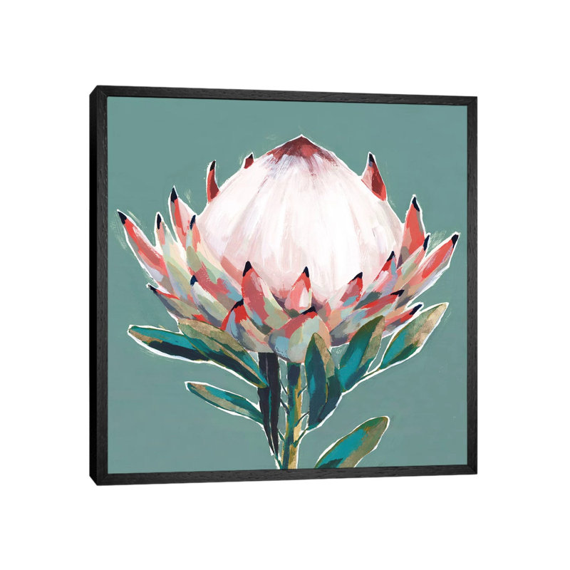 Blooming King Protea by Isabelle Z - Painting on Canvas, 66.04 cm H x 66.04 cm W, Black Framed