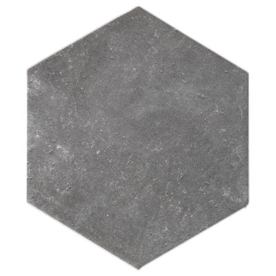 Dakota Hexagon 7.87 in. x 9.45 in. Matte Porcelain  Floor and Wall Tile
