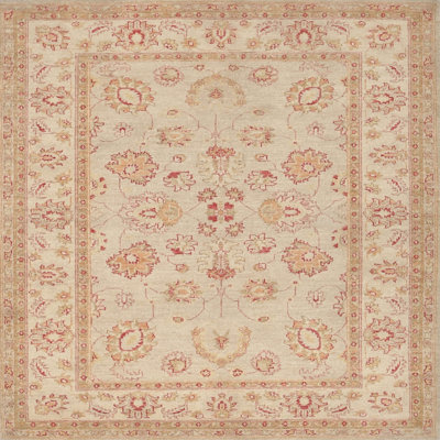 Kante Oriental Indoor Rug