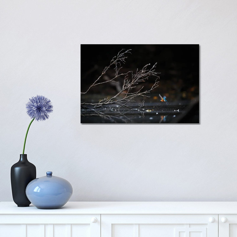 Kingfisher III 1 Piece Wrapped Canvas Wall Art, 30.48 cm H x 45.72 cm W