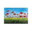Wild Poppies by Julie Derice - Wrapped Canvas Painting-254122574
