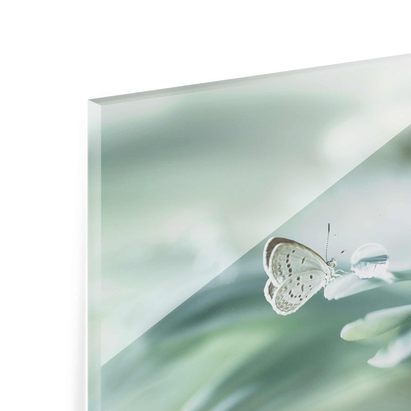 Butterfly And Dew Drops - No Frame Print on Canvas, 20cm H x 31cm W x 0.5cm D, Paper