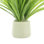 Riey Faux Grass in Fiberstone Pot