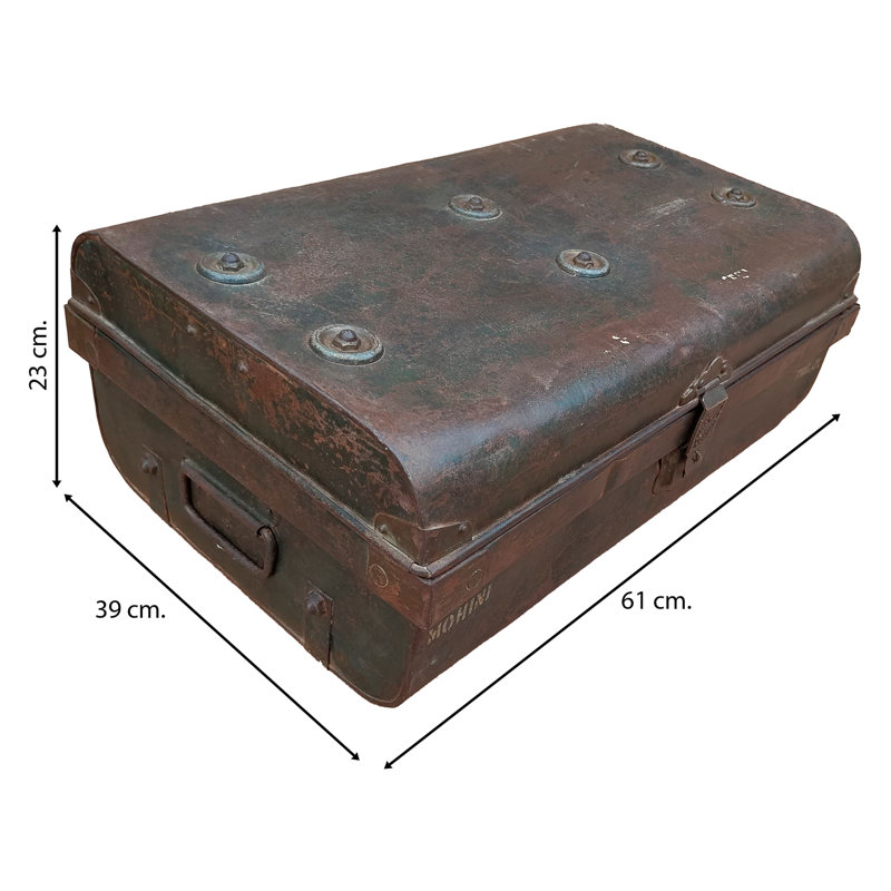 Agnant Handmade Decorative Trunk