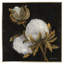 Cotton Balls II Brushed Brass (P83329)