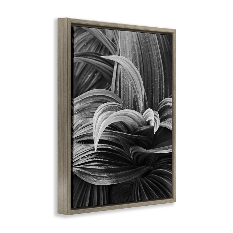 «Wet Leaves» par Chip Forelli, Cadre flottant orme Montalcino, H 21 po x l 17 po
