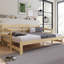 Lassen Solid Wood Daybed with Trundle