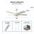 Gatha 56'' Ceiling Fan with LED Lights-581072864-581072867-581072876